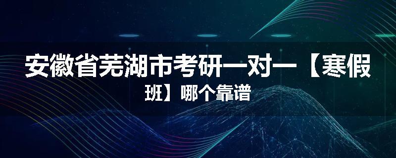 安徽省芜湖市考研一对一【寒假班】哪个靠谱