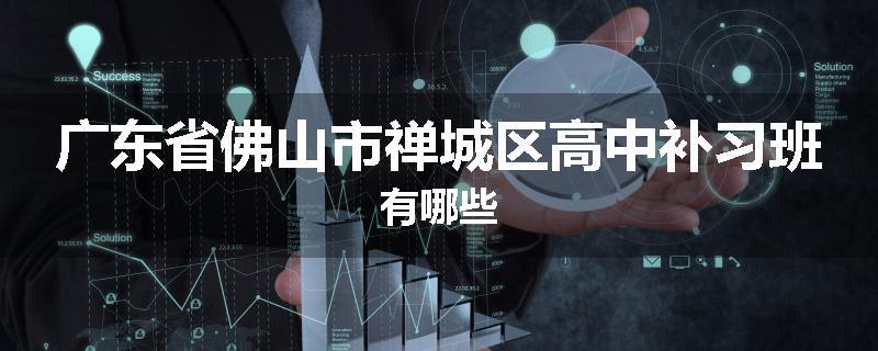 广东省佛山市禅城区高中补习班有哪些