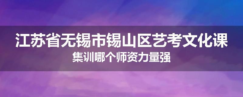 江苏省无锡市锡山区艺考文化课集训哪个师资力量强