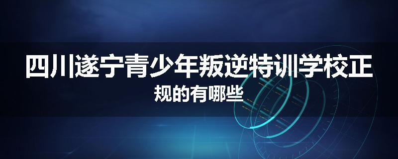四川遂宁青少年叛逆特训学校正规的有哪些