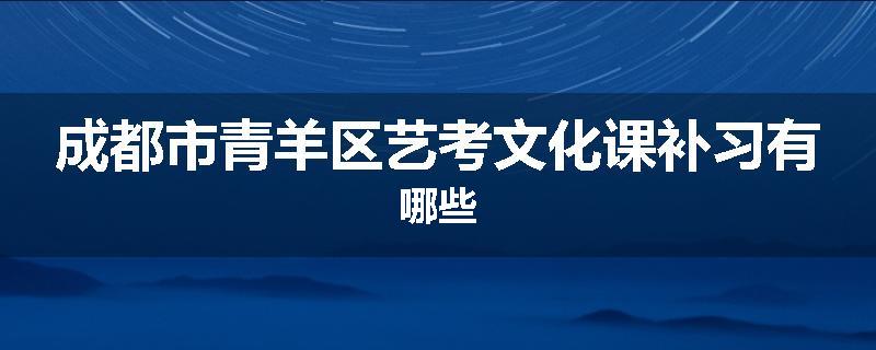 成都市青羊区艺考文化课补习有哪些