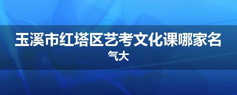 玉溪市红塔区艺考文化课哪家名气大