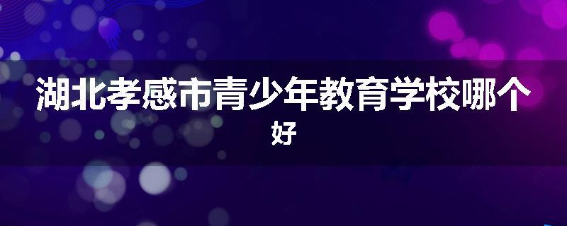 湖北孝感市青少年教育学校哪个好