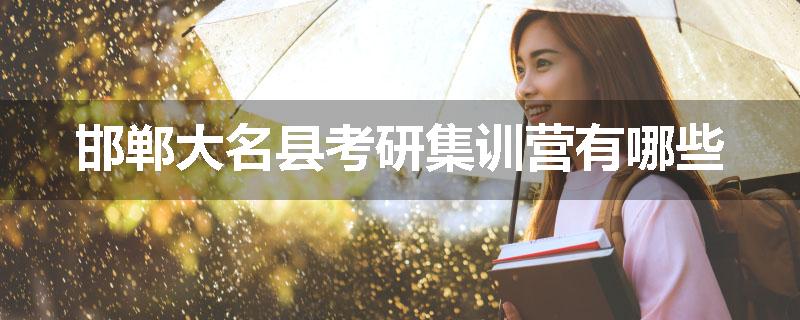 邯郸大名县考研集训营有哪些