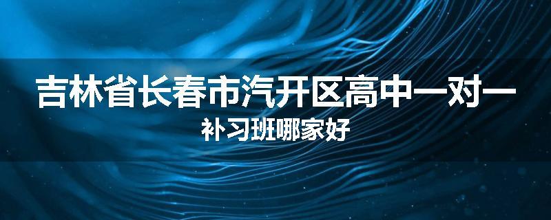 吉林省长春市汽开区高中一对一补习班哪家好