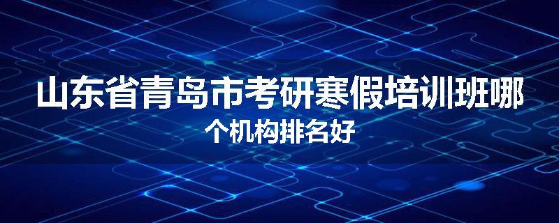 山东省青岛市考研寒假培训班哪个机构排名好