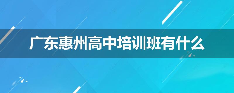 广东惠州高中培训班有什么