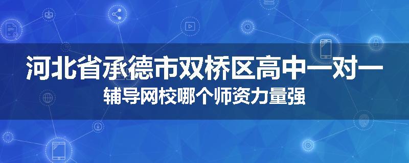 河北省承德市双桥区高中一对一辅导网校哪个师资力量强