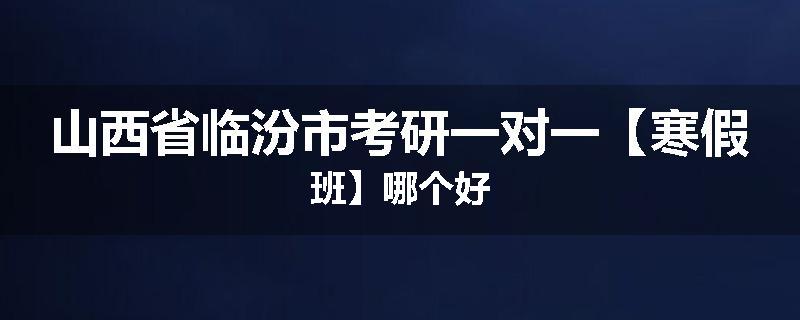 山西省临汾市考研一对一【寒假班】哪个好