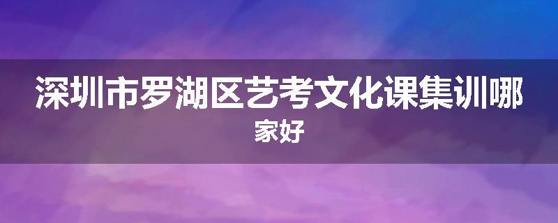 深圳市罗湖区艺考文化课集训哪家好