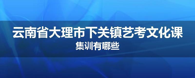 云南省大理市下关镇艺考文化课集训有哪些