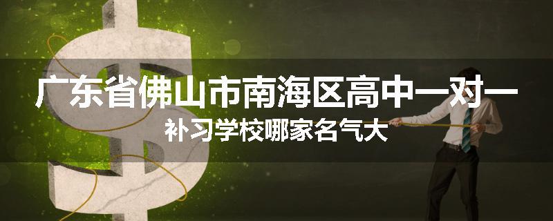 广东省佛山市南海区高中一对一补习学校哪家名气大