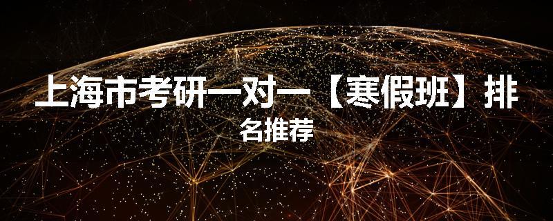 上海市考研一对一【寒假班】排名推荐
