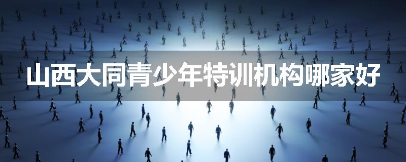 山西大同青少年特训机构哪家好
