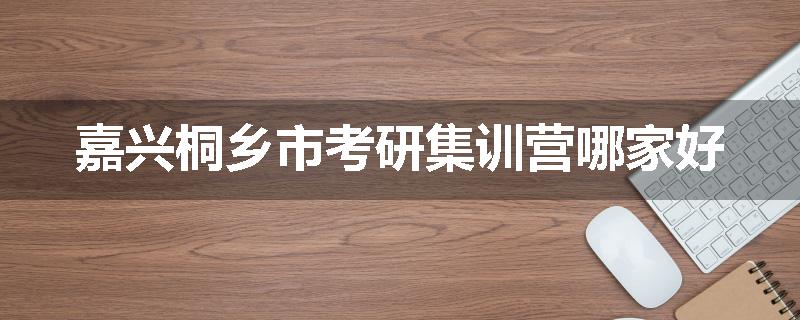 嘉兴桐乡市考研集训营哪家好