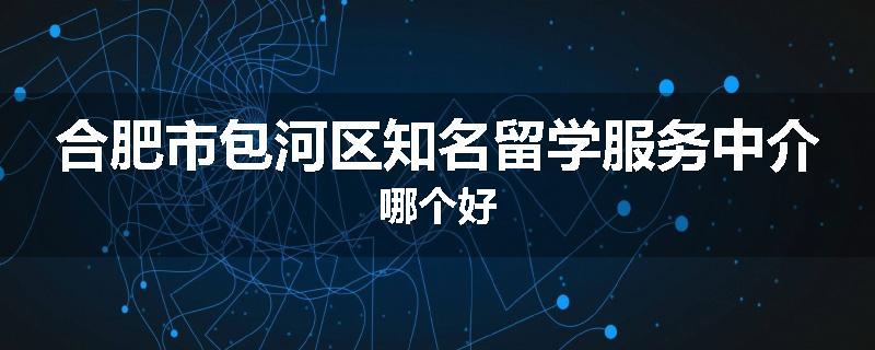 合肥市包河区知名留学服务中介哪个好
