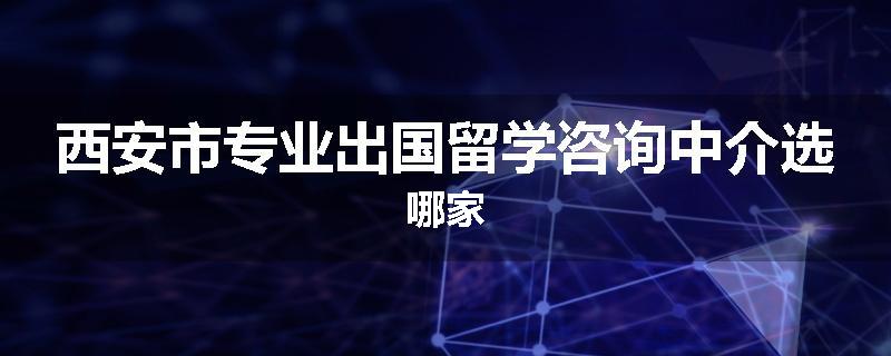 西安市专业出国留学咨询中介选哪家