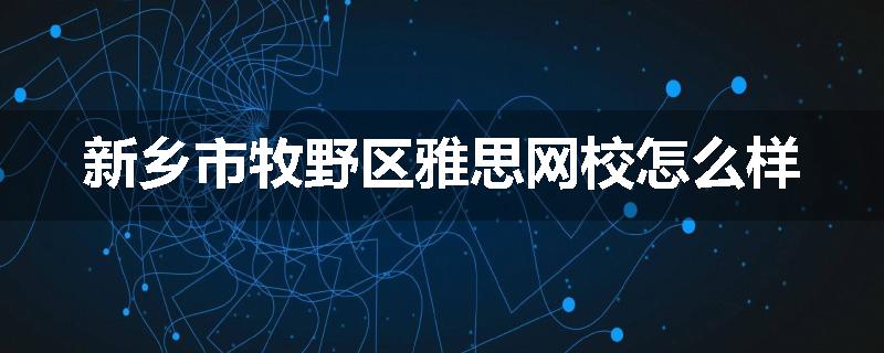 新乡市牧野区雅思网校怎么样