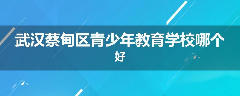 武汉蔡甸区青少年教育学校哪个好