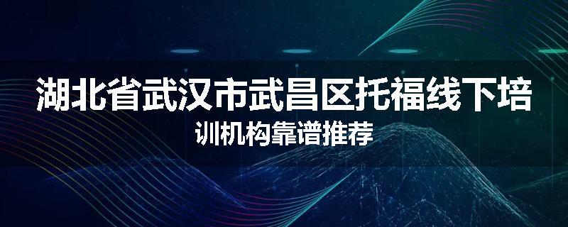 湖北省武汉市武昌区托福线下培训机构靠谱推荐
