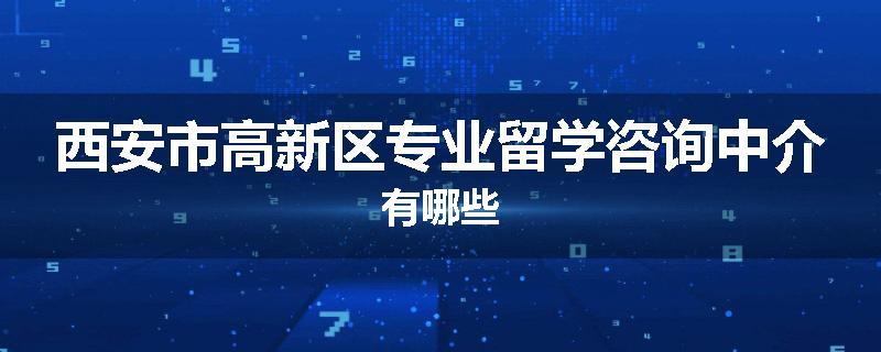 西安市高新区专业留学咨询中介有哪些