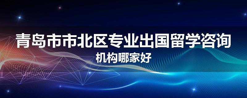青岛市市北区专业出国留学咨询机构哪家好