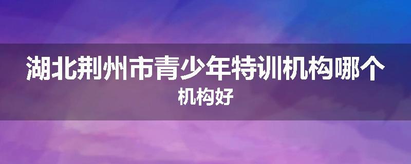 湖北荆州市青少年特训机构哪个机构好