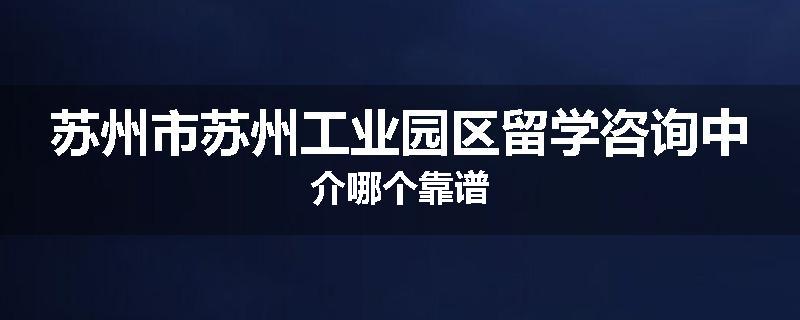 苏州市苏州工业园区留学咨询中介哪个靠谱