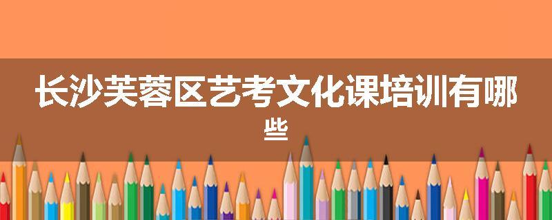 长沙芙蓉区艺考文化课培训有哪些