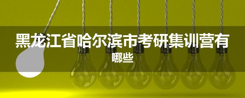 黑龙江省哈尔滨市考研集训营有哪些