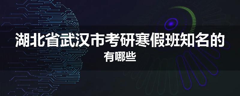 湖北省武汉市考研寒假班知名的有哪些