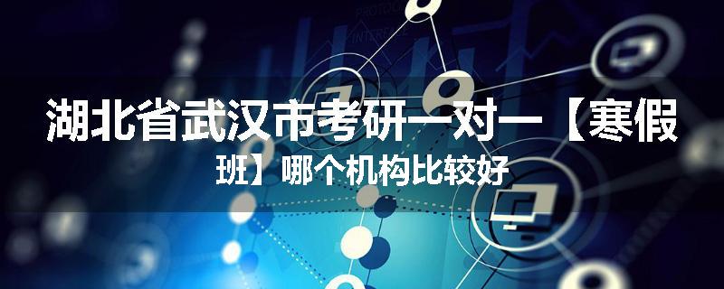 湖北省武汉市考研一对一【寒假班】哪个机构比较好