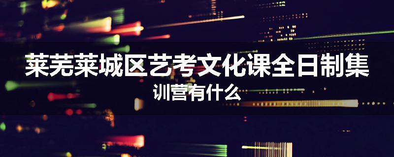 莱芜莱城区艺考文化课全日制集训营有什么
