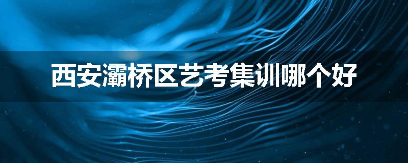 西安灞桥区艺考集训哪个好