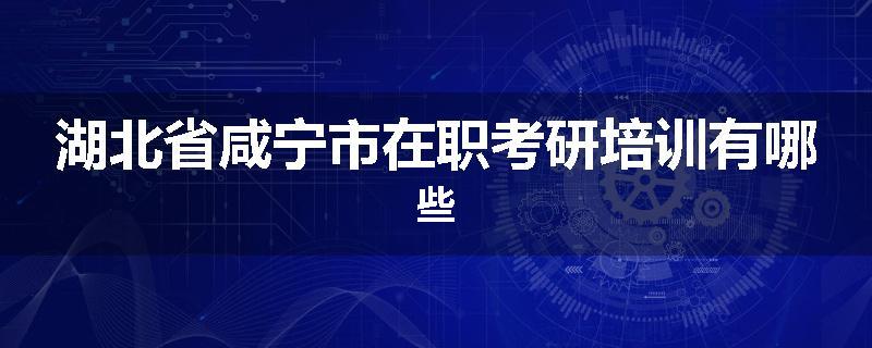 湖北省咸宁市在职考研培训有哪些