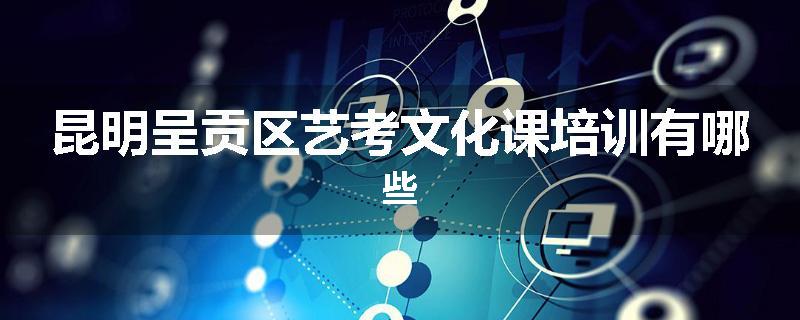 昆明呈贡区艺考文化课培训有哪些