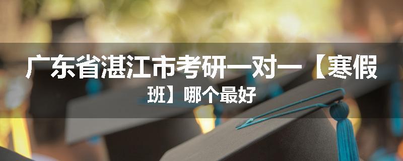 广东省湛江市考研一对一【寒假班】哪个最好