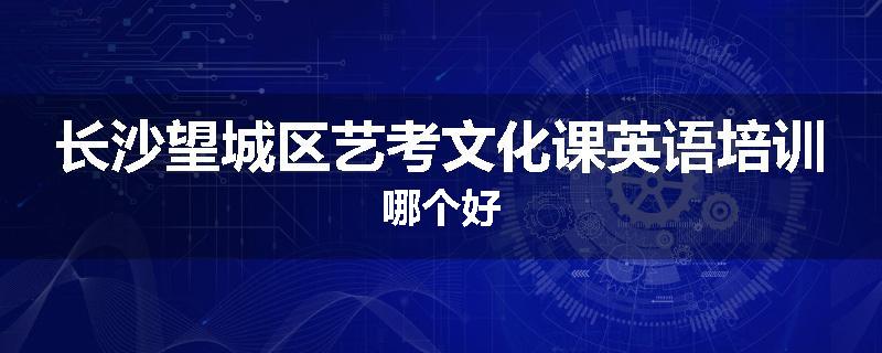 长沙望城区艺考文化课英语培训哪个好