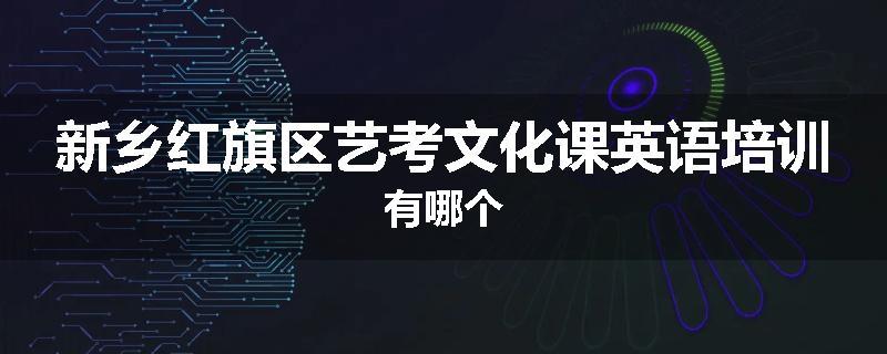 新乡红旗区艺考文化课英语培训有哪个