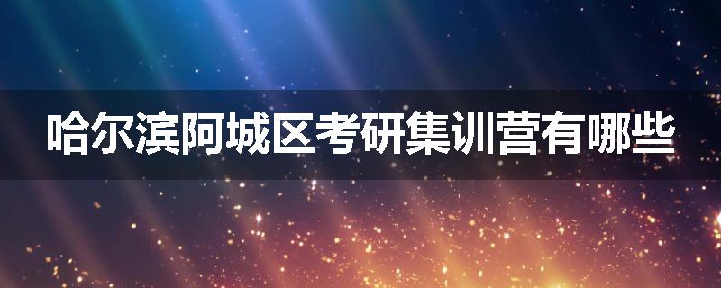 哈尔滨阿城区考研集训营有哪些