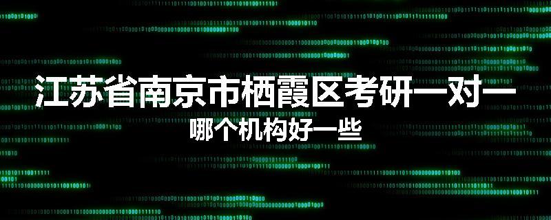 江苏省南京市栖霞区考研一对一哪个机构好一些