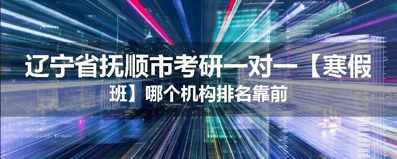 辽宁省抚顺市考研一对一【寒假班】哪个机构排名靠前