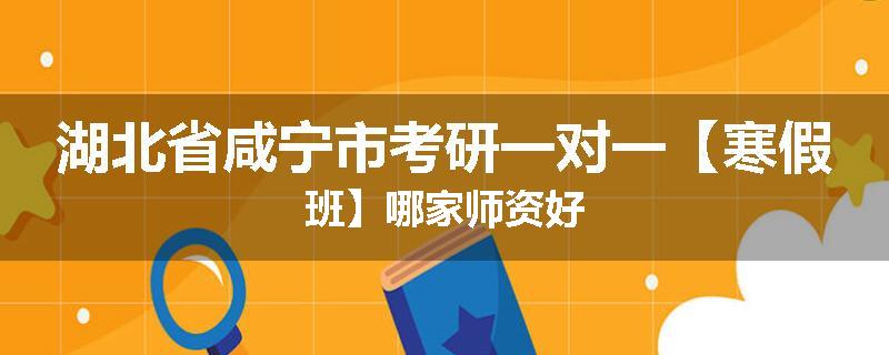 湖北省咸宁市考研一对一【寒假班】哪家师资好
