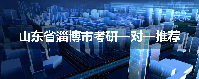 山东省淄博市考研一对一推荐