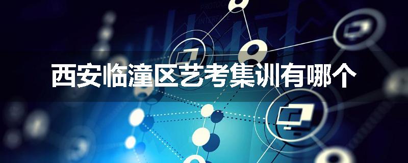 西安临潼区艺考集训有哪个