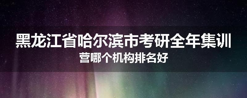 黑龙江省哈尔滨市考研全年集训营哪个机构排名好