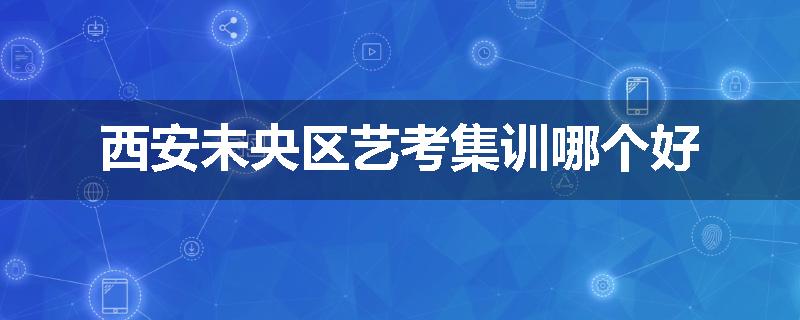 西安未央区艺考集训哪个好