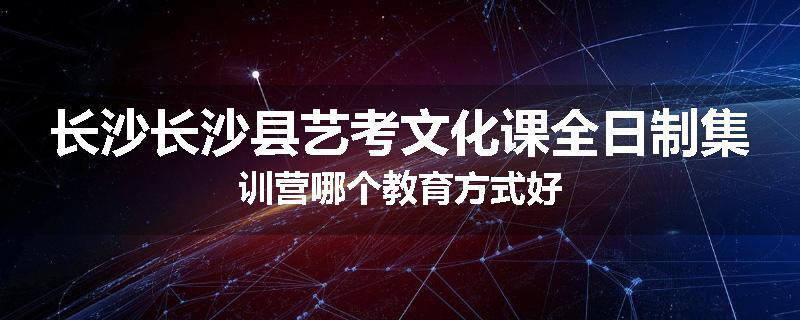 长沙长沙县艺考文化课全日制集训营哪个教育方式好