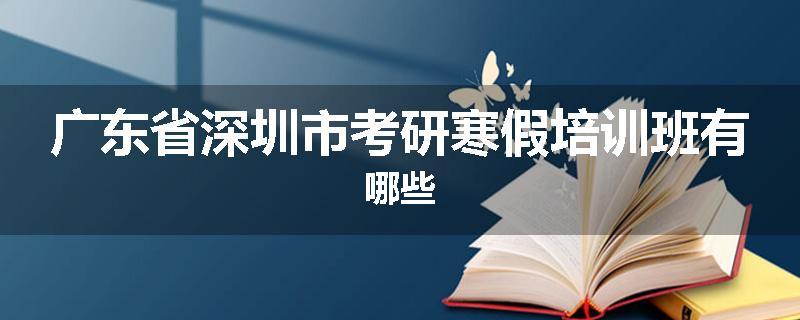 广东省深圳市考研寒假培训班有哪些