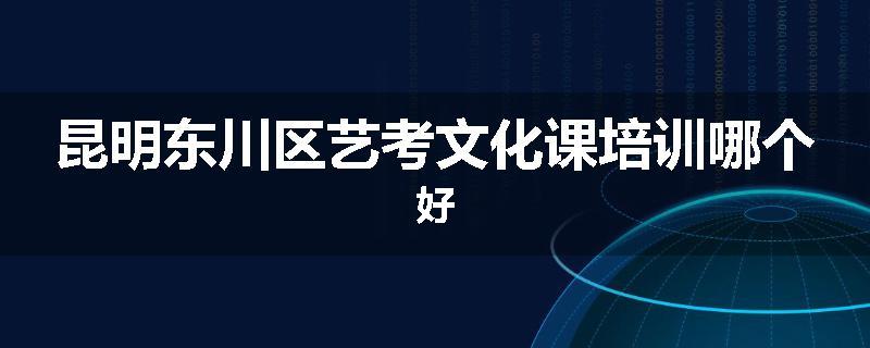 昆明东川区艺考文化课培训哪个好